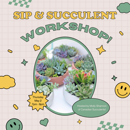 SIP & SUCCULENT MAY 2 7PM-9PM
